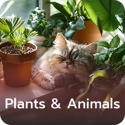 Plants & Animals